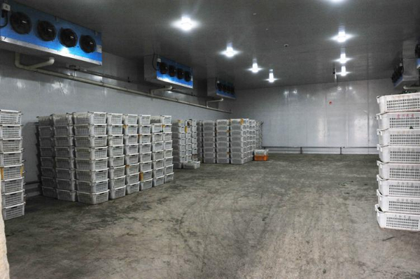 天津冷库板回收-冷库设备-天津大型冷库拆除回收-冷冻库冷藏库保鲜库拆除回收